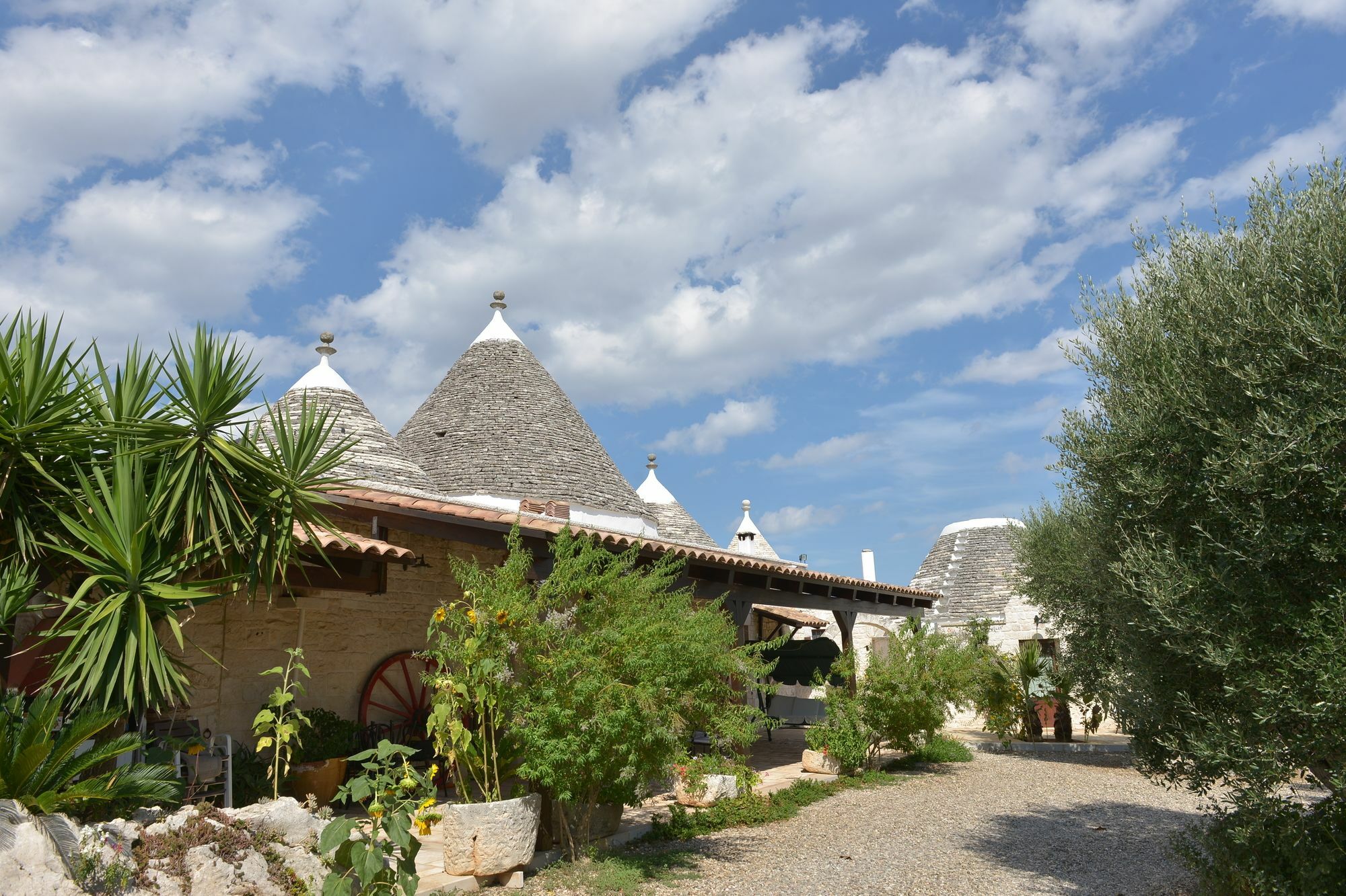 Masseria Pentima Vetrana Resort 알베르벨로 외부 사진